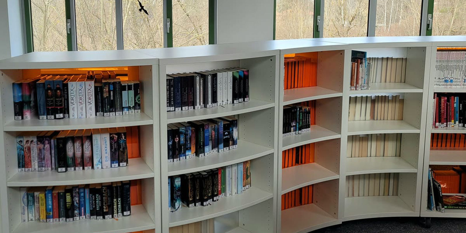 Geschwungene weiße Bücherregale voller Bücher, hauptsächlich Belletristik und Science-Fiction, stehen neben großen Fenstern. Die Regale sind gut beleuchtet, und durch die Fenster im Hintergrund ist eine Waldszenerie zu sehen.